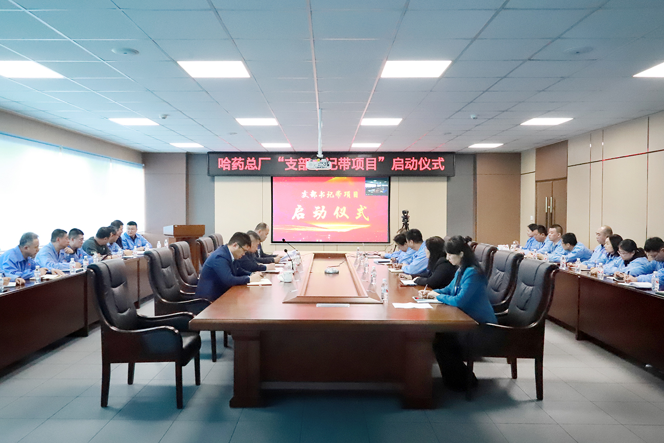 党建领航&ldquo;加速度&rdquo; 打造发展&ldquo;强引擎&rdquo;&mdash;&mdash;尊龙凯时总厂党委召开&ldquo;支部书记带项目&rdquo;启动仪式